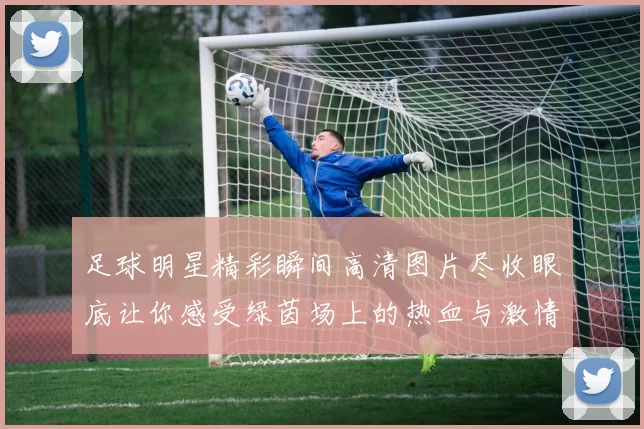 足球明星精彩瞬间高清图片尽收眼底让你感受绿茵场上的热血与激情